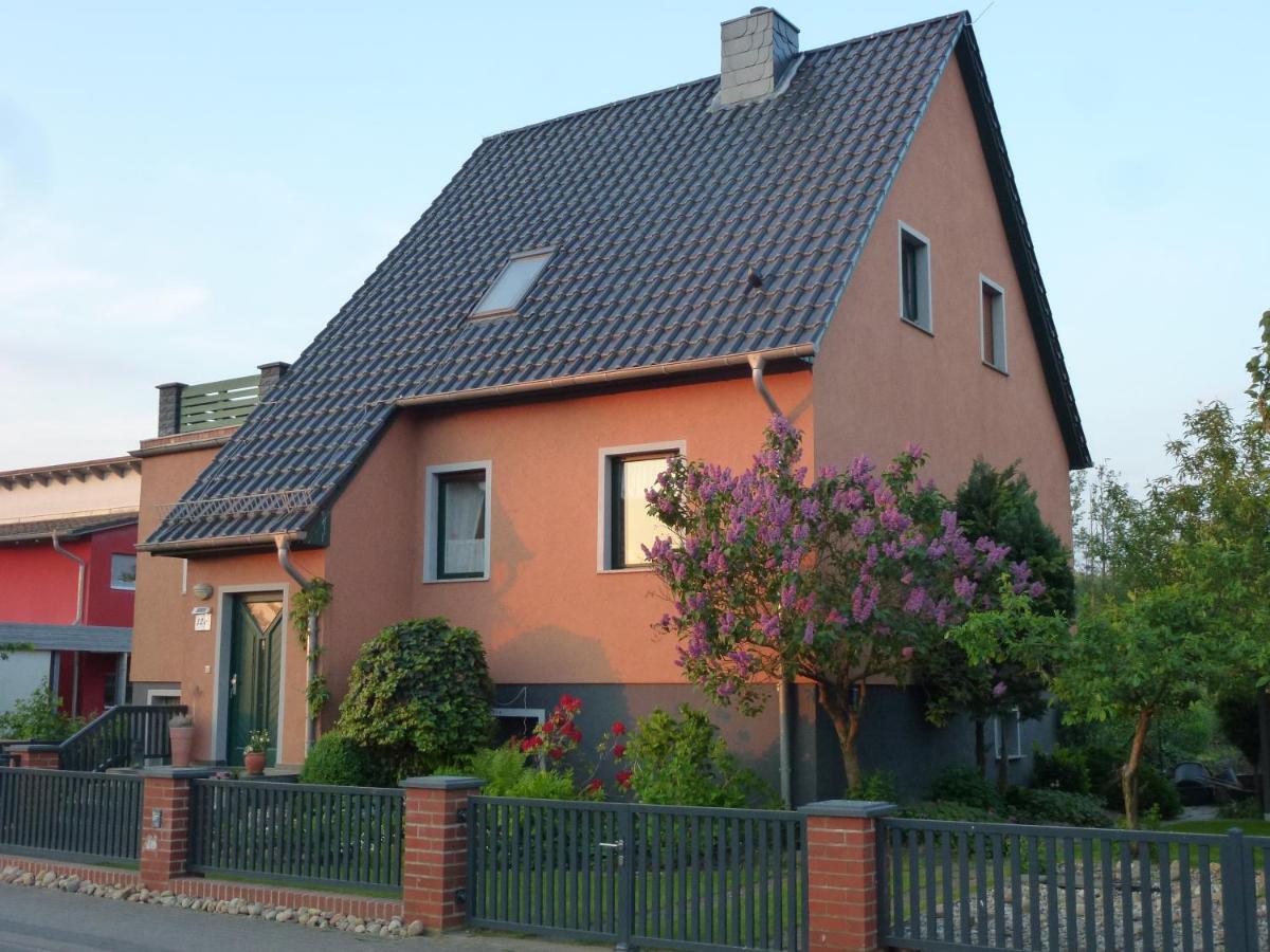 Seeblick Kemnitz Werder  Zewnętrze zdjęcie