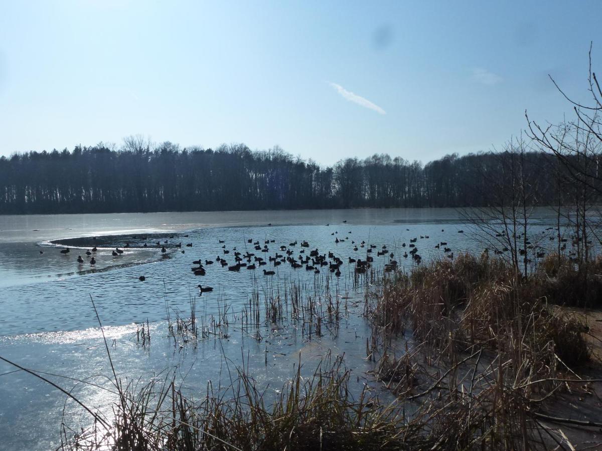 Seeblick Kemnitz Werder  Zewnętrze zdjęcie